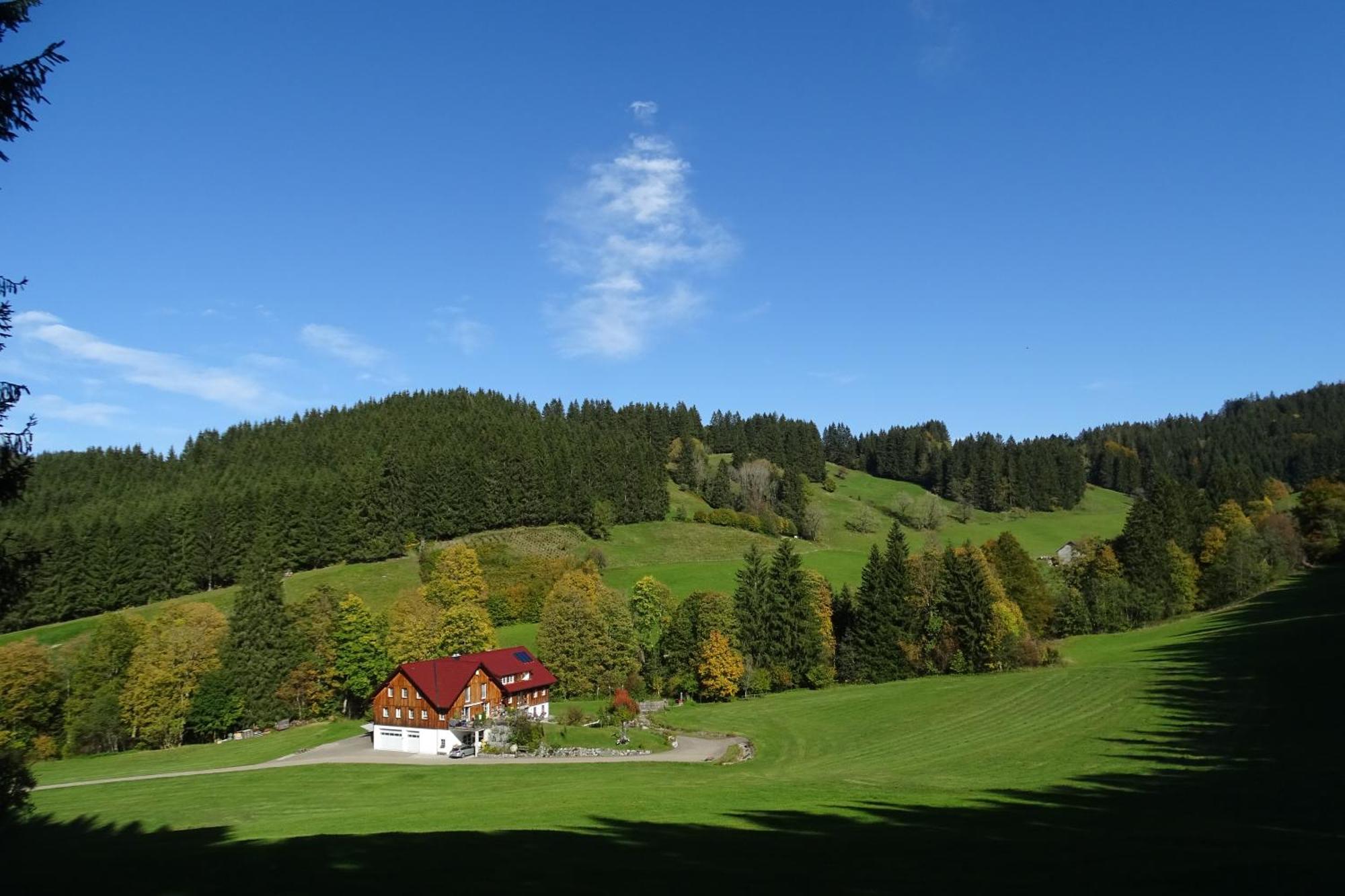 Ferienwohnung Boeck, Wengen Im Allgaeu Weitnau Exteriör bild